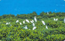 《中华人民共和国自然保护区条例》修订通过 2026年3月15日起施行