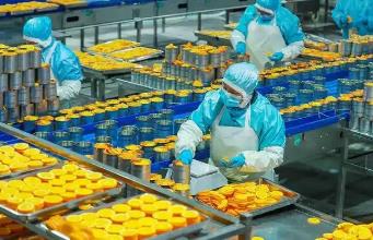 《罐头食品加工工》国家职业技能标准通过终审