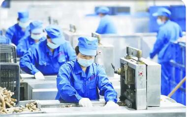 安徽亳州成为皖北振兴“增长极”