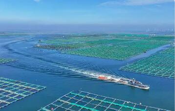 碧波万顷可“耕田”——福建绘就“海上粮仓”新图景