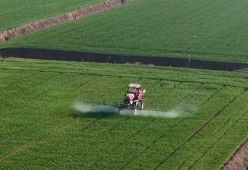 “良技+良法+良机”护航冬小麦田间管理 各主产区奋战夯实夏粮丰产根基