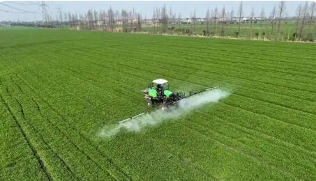 春季田管有序推进 保障粮食稳产丰产