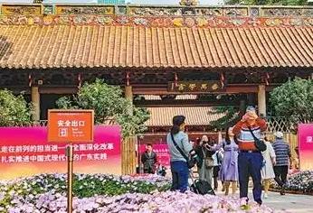 多样出游 年味出新