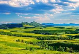 内蒙古“十四五”时期草原生态状况持续向好