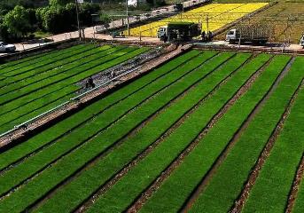 一体化推进农业农村绿色发展