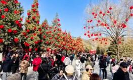 2026年春节假日游客达5.96亿人次