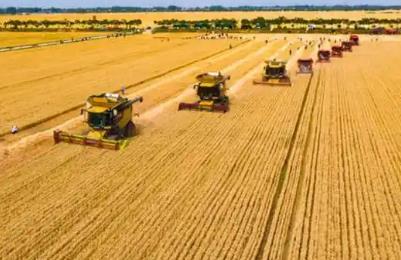 提升农业综合生产能力和质量效益