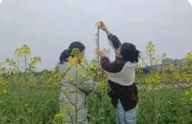 全国春耕春播气象服务全面启动