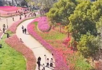 去踏青、共赏花，春意正浓！““春日经济”蓬勃绽放