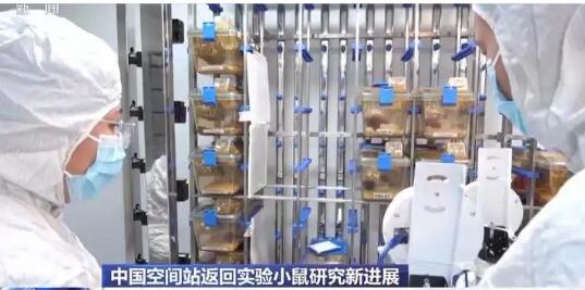 首次、首创、新突破！我国科技发展再添新成果