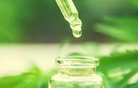 出口额连续三年下降 我国植物提取物行业亟须塑造差异化竞争优势