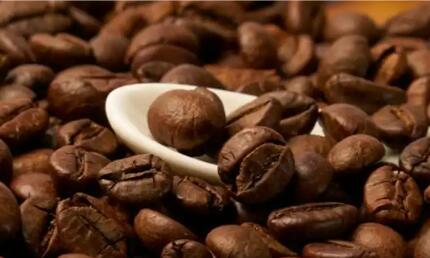 去年云南出口咖啡1.9万吨 出口量值全国第一