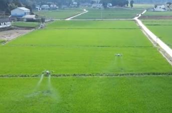 冬小麦春管进展顺利 科技助力高质高效