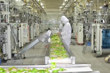 新鲜零食从“流量红利期”迈入“供应链深耕期”