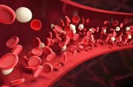 75%的成年血友病患者存在“靶关节”问题，专家建议突破医保 “出血才可报销”限制