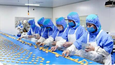 山东巨野：多元产业激活发展新动能