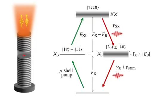 我国固态量子光源重大突破：高效率、高纯度双光子发射器研发成功