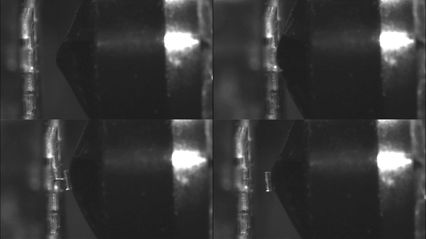 1772706098185035.png 1772706098185035.png