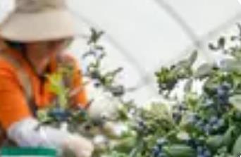 以思维升级做好“农业+”