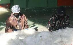 吉林省长春市农安县：以鹅致富 以绒兴业