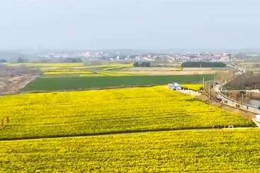 春天里的中国·勾勒春日农耕图