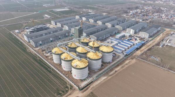 山东省加快推动粮食产业转型升级