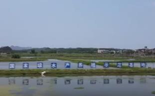 品尝舌尖上第一口“鲜” “春日味道”丰富百姓餐桌尝“鲜”经济热力十足