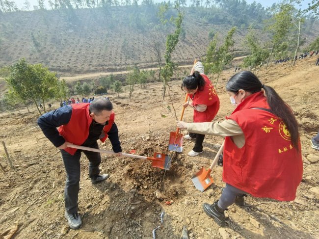 春风添新绿 植树正当时