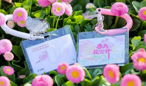武汉邮政上新125款樱花季文创，樱花邮局火爆出圈