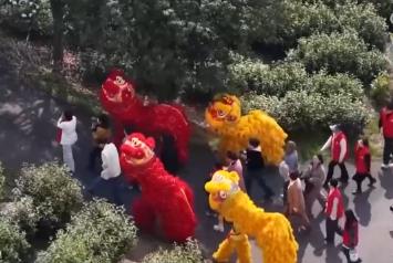 以茶为媒打造“茶旅融合”IP “时令宴+传统习俗”为茶乡振兴添新景