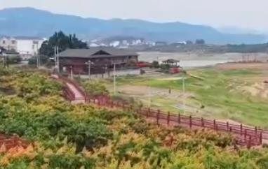 深耕“农业+文化+旅游”融合发展 果农种好“致富果”吃上“旅游饭”