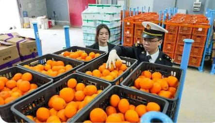 “生鲜集拼”海关监管模式在湖南落地