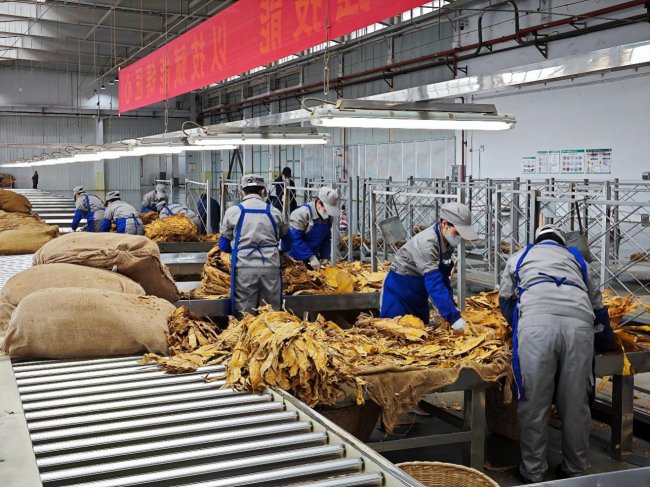 情暖职工聚合力 工会暖心伴同行 ——楚雄复烤厂工会系列服务举措绘就职工幸福底色