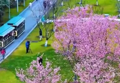 多地首个春假即将开启 文旅交通暖心“大礼包”助力出游