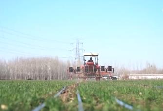 构建“监测预警+技术服务+物资保障”三重防线保障夏粮稳产丰产