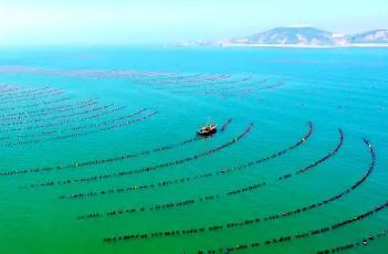 福建聚力推进深远海养殖高质量发展