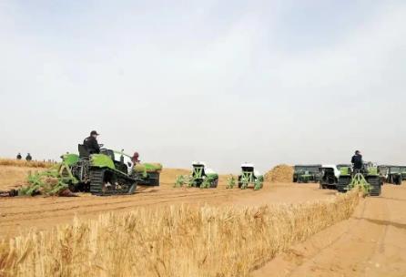 内蒙古春季防沙治沙工作启动