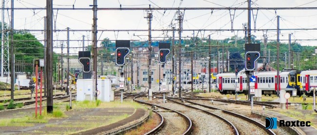 1773986495982076.jpg 1773986495982076.jpg