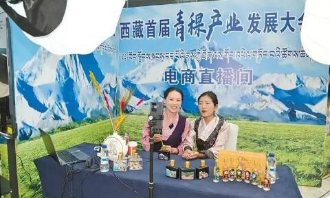西藏农村电商从“卖产品”向“兴产业”转变