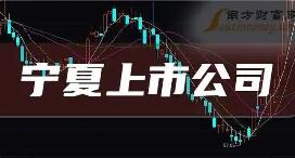 宁夏上市公司总市值突破2300亿元 研发投入激增超200%