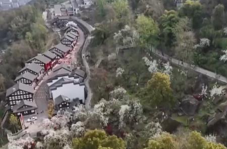 赏花游“含金量”不断提升 多元“花经济”为乡村振兴带来增收致富新动力