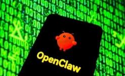 国家互联网应急中心等发布OpenClaw安全使用实践指南