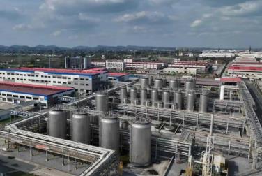 四川彭山：火力全开！以产业硬核实力决胜开门红