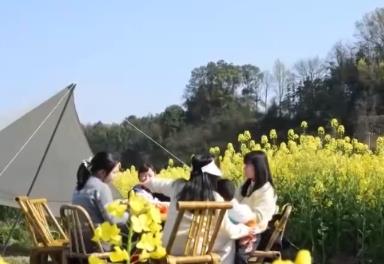 沉浸式体验成为春日文旅新亮点 “赏花+”延伸消费链将“颜值”变“价值”