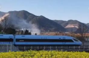 寻春景、游春色，一车畅达！赏花专线让“春日经济”热力十足