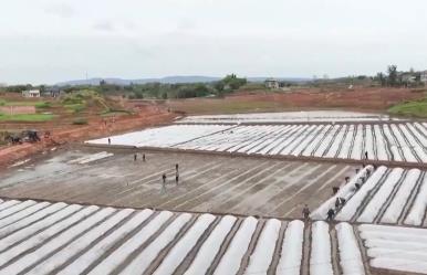 抢抓农时 各地按下春耕备耕“加速键”