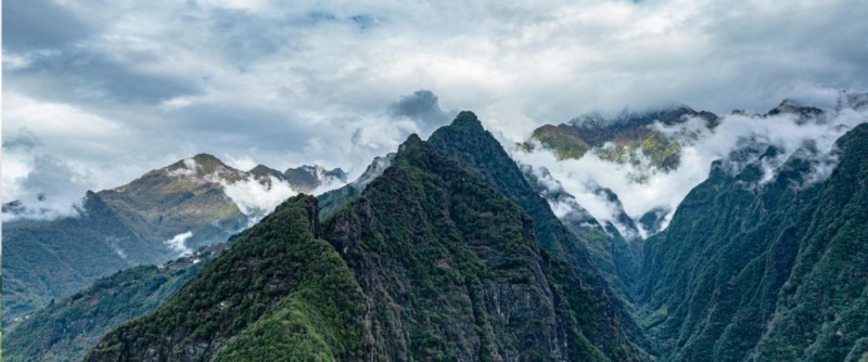 龙陵紫皮石斛：中国石斛产业的“标准答案”？