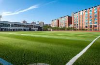 健全校园欺凌防治长效机制等 四部门部署校园安全工作