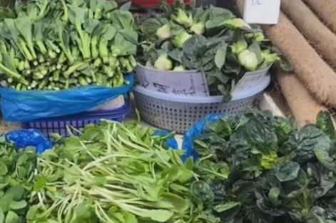 春季消费市场“春鲜”热潮涌动 “春日经济”活力十足