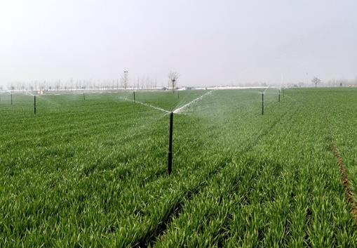 河南：万眼机井有“管家”